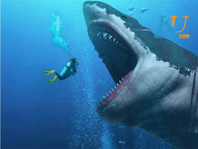 Mơ thấy bị tấn công bởi cá mập